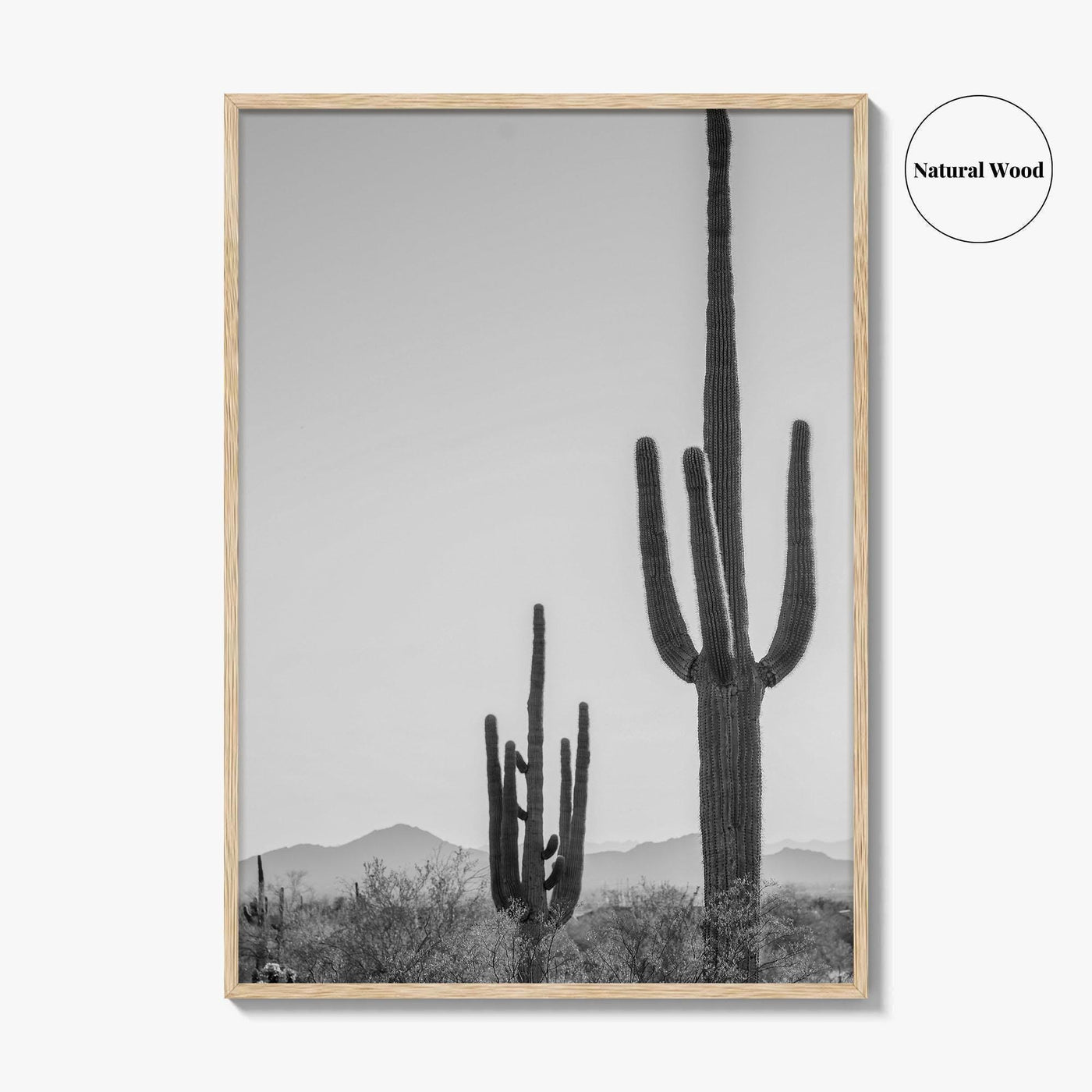 Saguaro National Park Black and White Fine Art Photo Print, Tucson Arizona Desert Poster