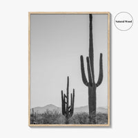 Saguaro National Park Black and White Fine Art Photo Print, Tucson Arizona Desert Poster