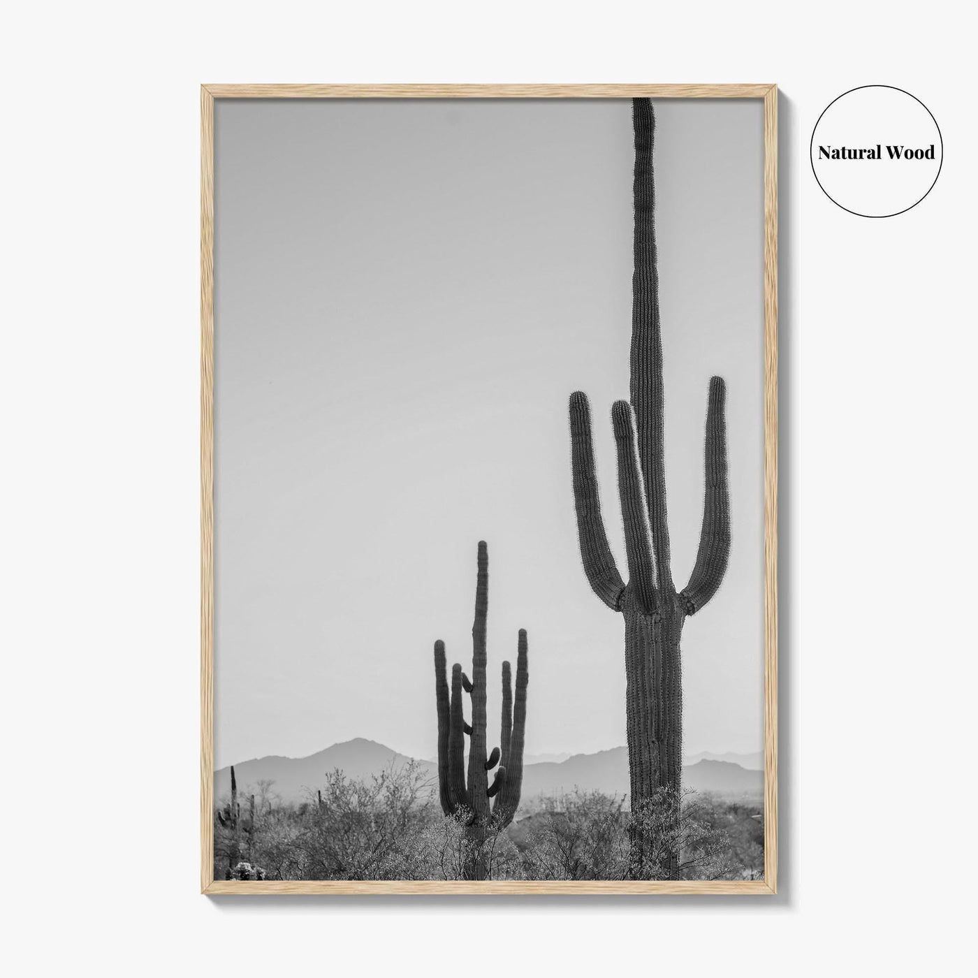 Saguaro National Park Black and White Fine Art Photo Print, Tucson Arizona Desert Poster