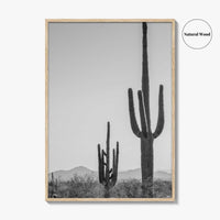 Saguaro National Park Black and White Fine Art Photo Print, Tucson Arizona Desert Poster