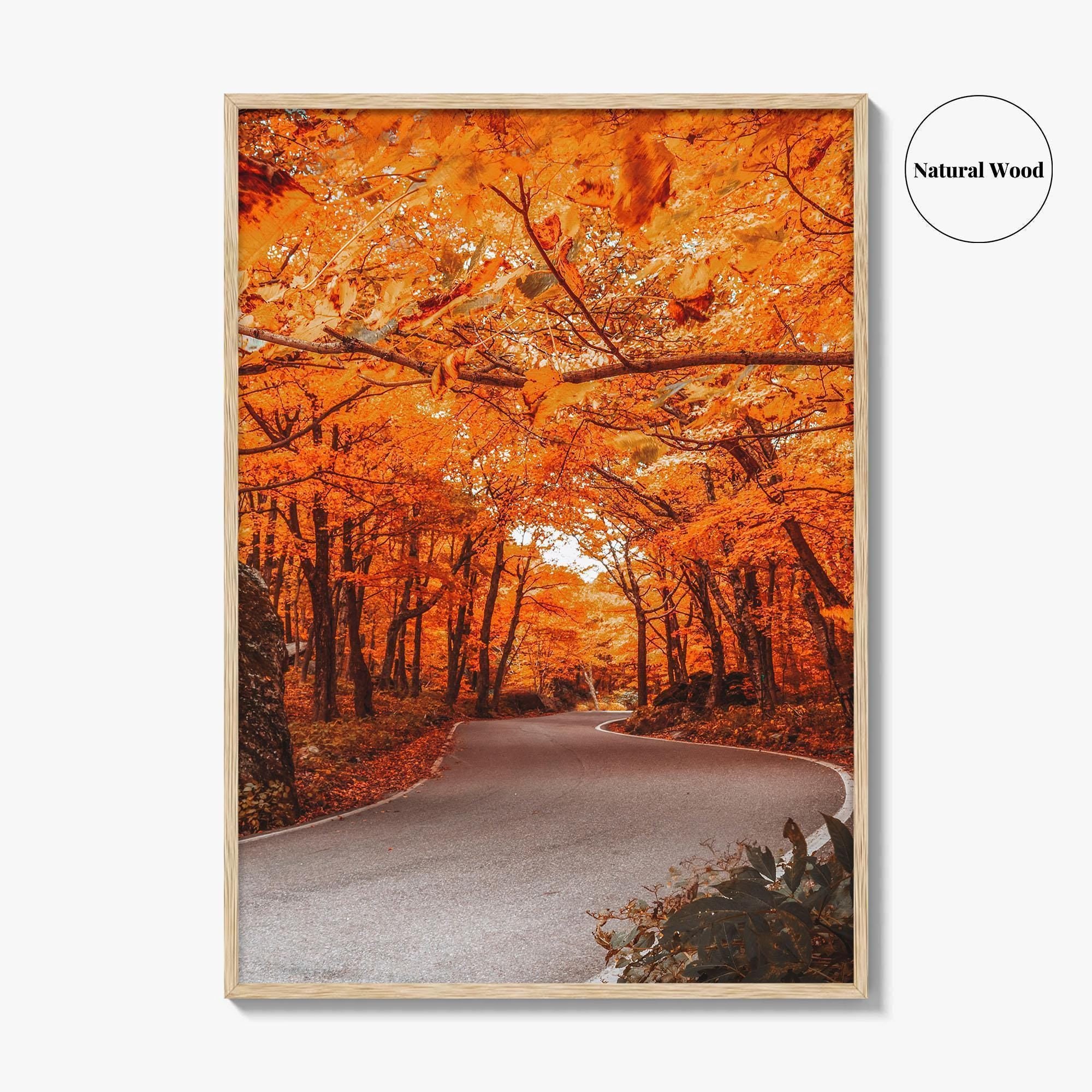 Vermont Fine Art Photo Print, Autumn Foliage, State Park, New England USA, Poster