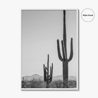 Saguaro National Park Black and White Fine Art Photo Print, Tucson Arizona Desert Poster