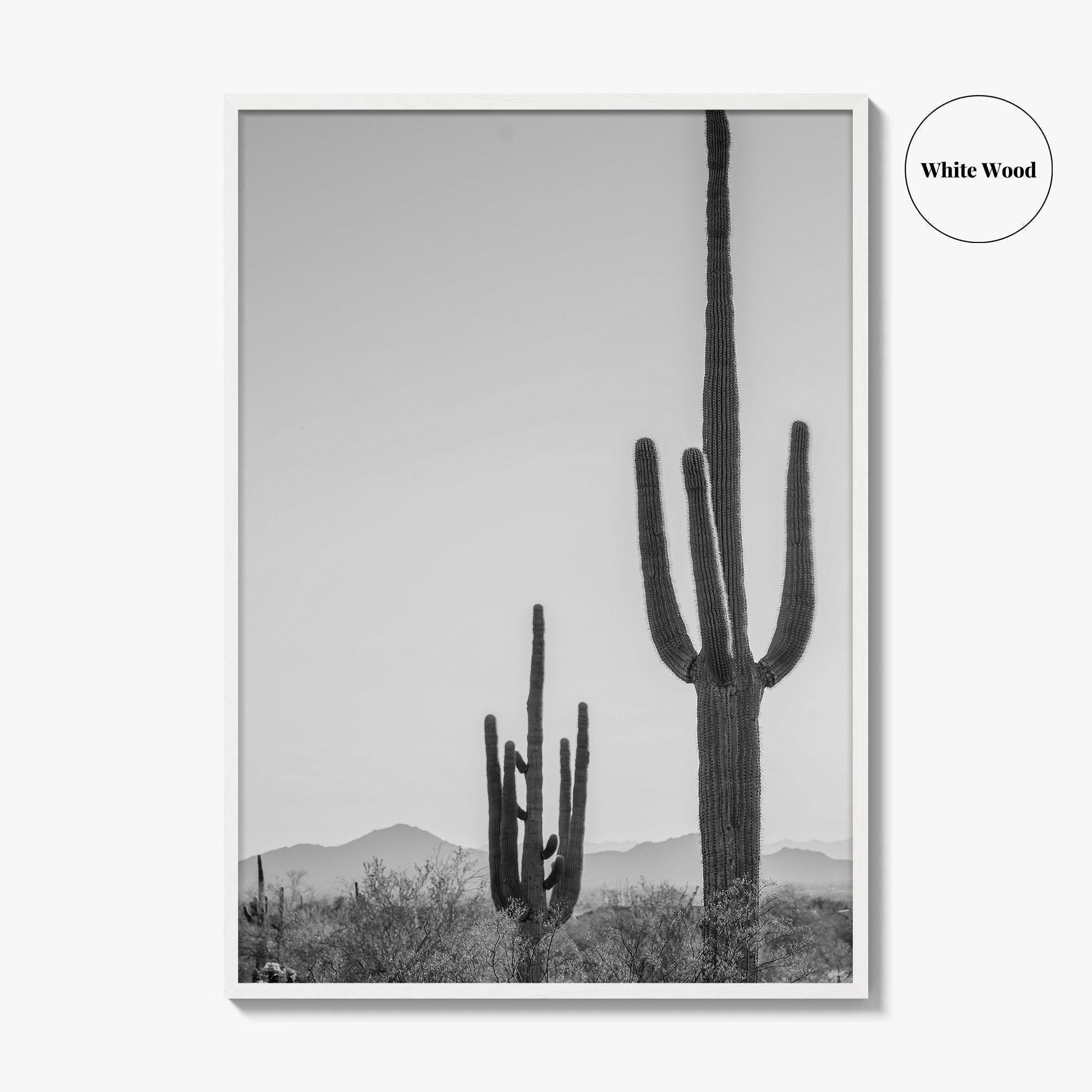 Saguaro National Park Black and White Fine Art Photo Print, Tucson Arizona Desert Poster
