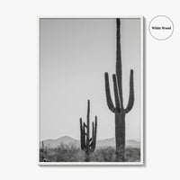 Saguaro National Park Black and White Fine Art Photo Print, Tucson Arizona Desert Poster