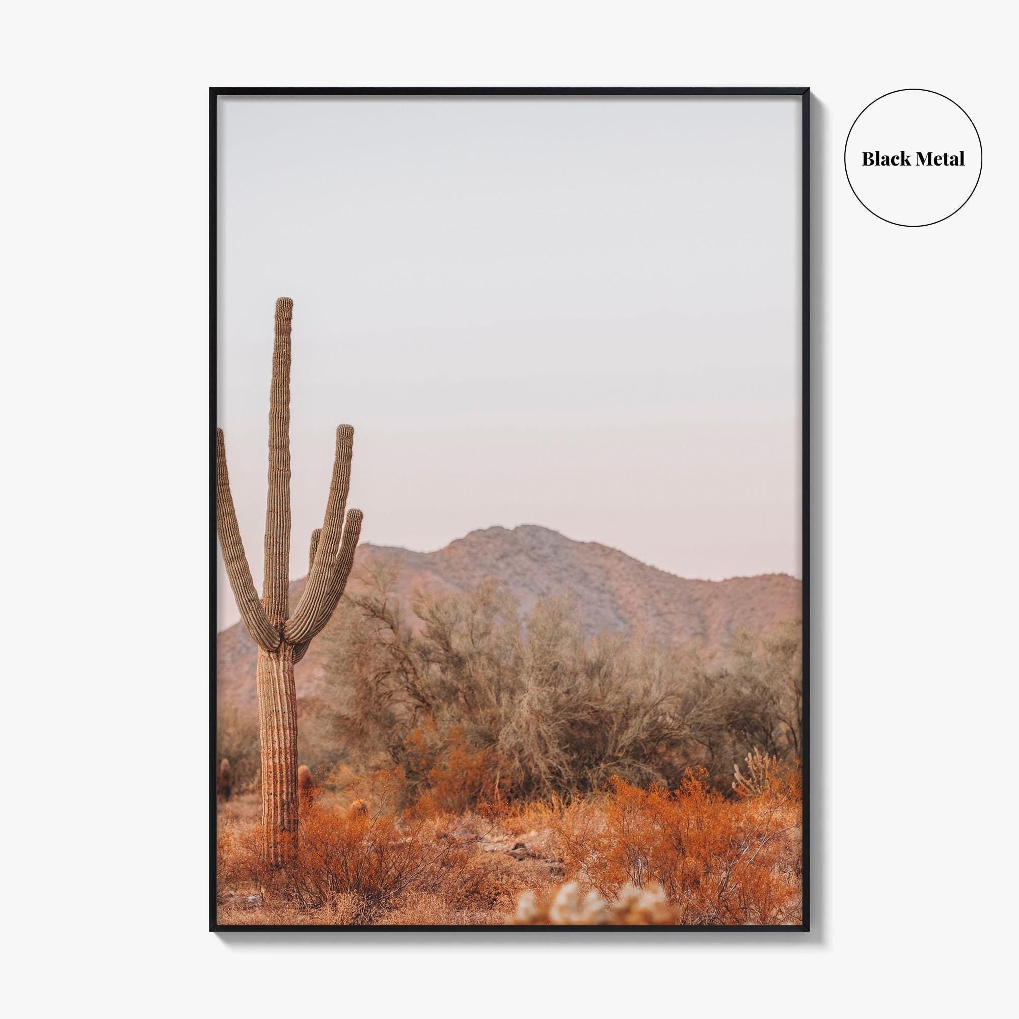 Saguaro National Park Fine Art Photo Print, Tucson Arizona, Sonoran Desert Poster USA