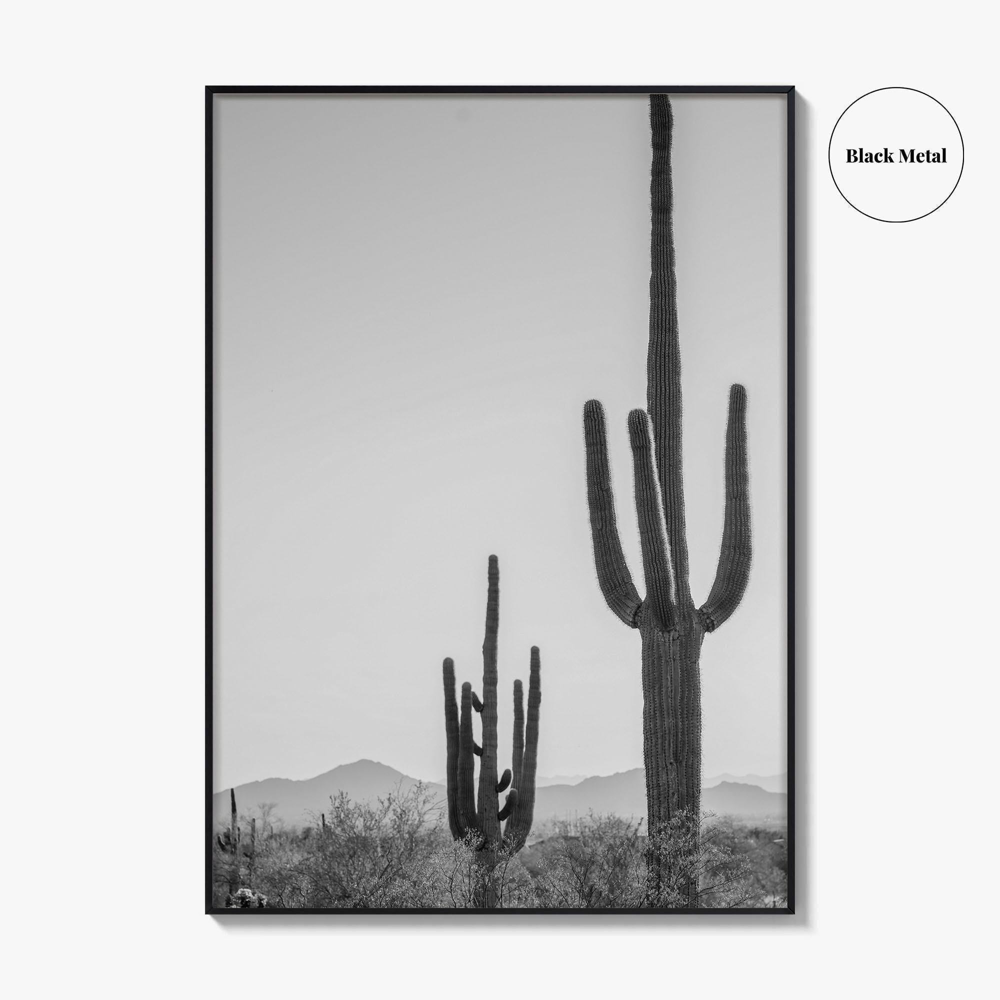 Saguaro National Park Black and White Fine Art Photo Print, Tucson Arizona Desert Poster