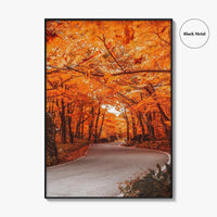 Vermont Fine Art Photo Print, Autumn Foliage, State Park, New England USA, Poster