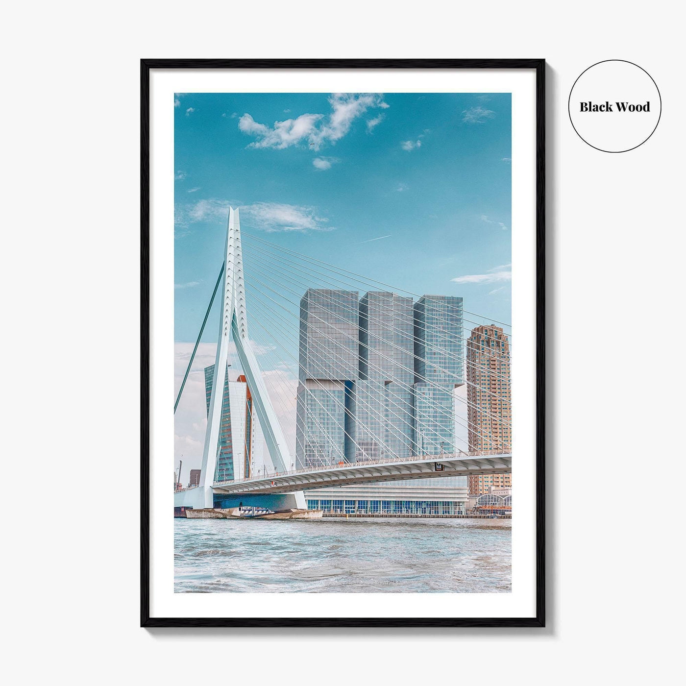 Rotterdam Fine Art Photo Print, Netherlands Wall Decor Poster, Erasmusbrug Swan Bridge, Harbor