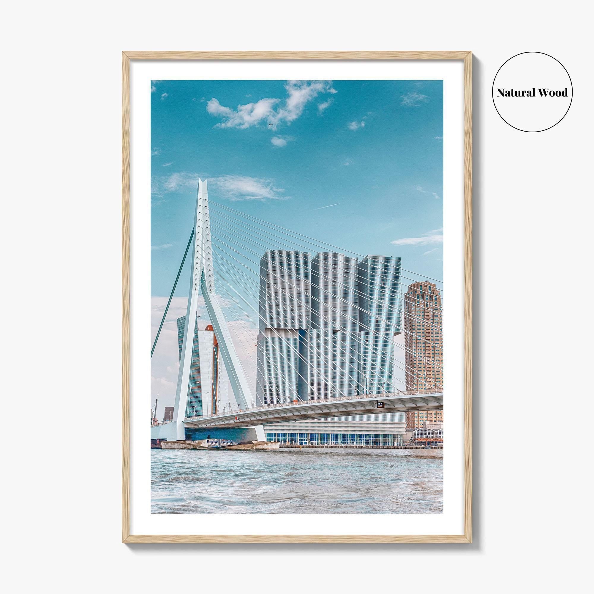 Rotterdam Fine Art Photo Print, Netherlands Wall Decor Poster, Erasmusbrug Swan Bridge, Harbor