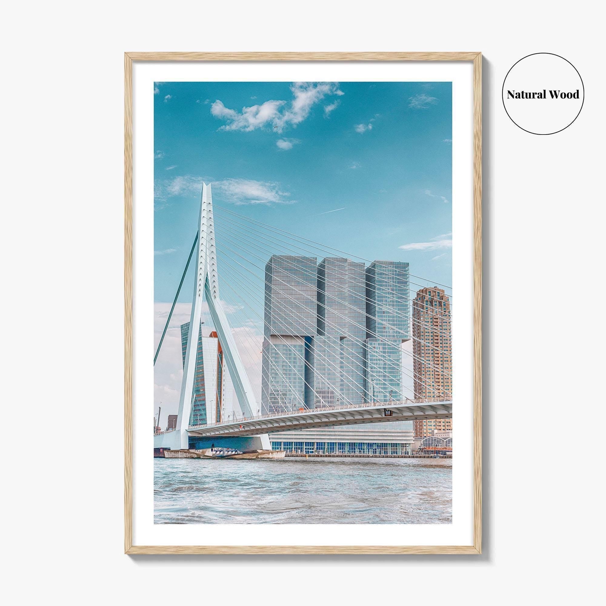 Rotterdam Fine Art Photo Print, Netherlands Wall Decor Poster, Erasmusbrug Swan Bridge, Harbor