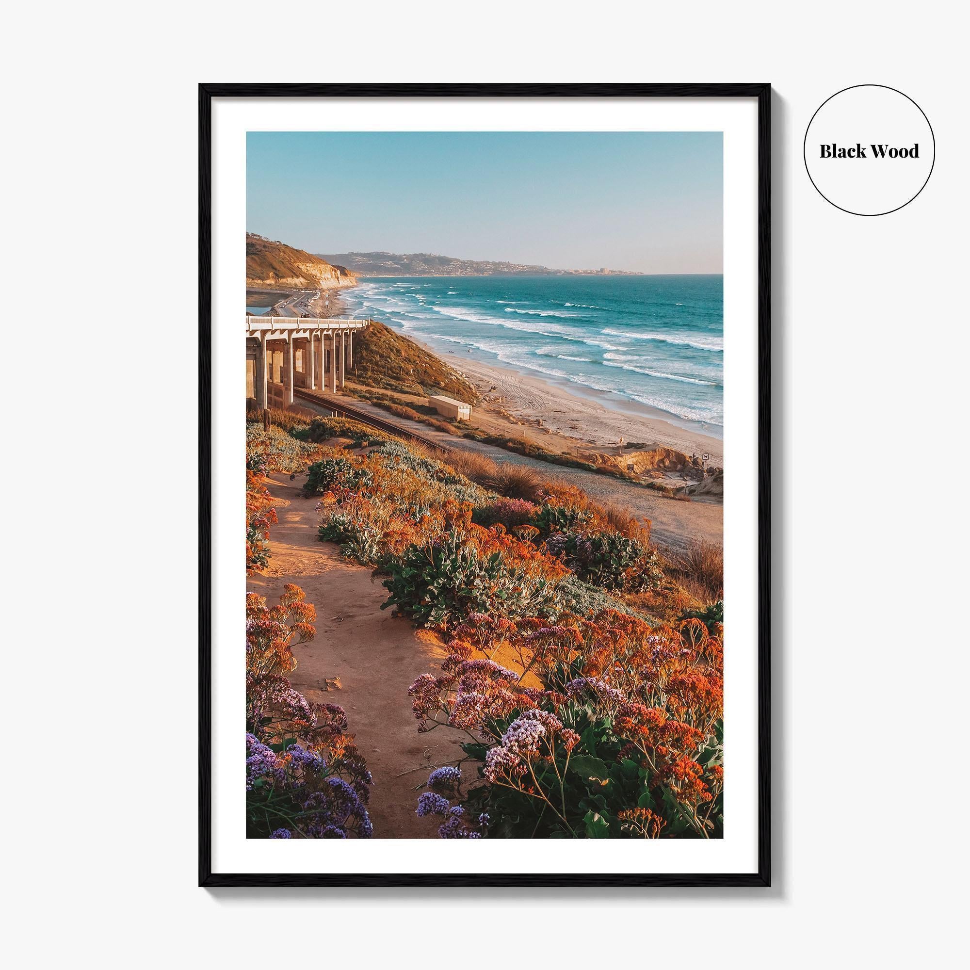 Torrey Pines State Beach Fine Art Photo Print, San Diego California, Wildflowers Wall Poster