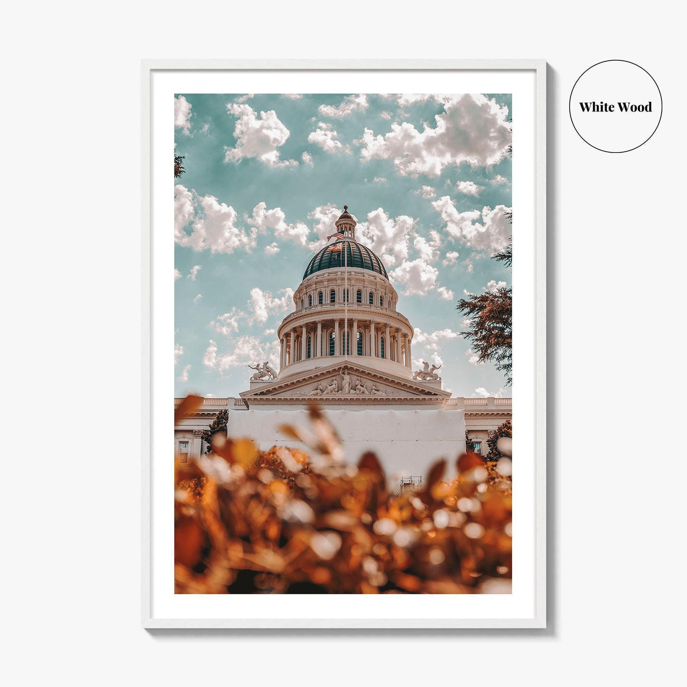 Sacramento Fine Art Photo Print, California City Wall Poster, Building, USA