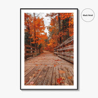 Traverse City Fine Art Photo Print, Logan's Landing, Michigan USA Wall Decor Poster