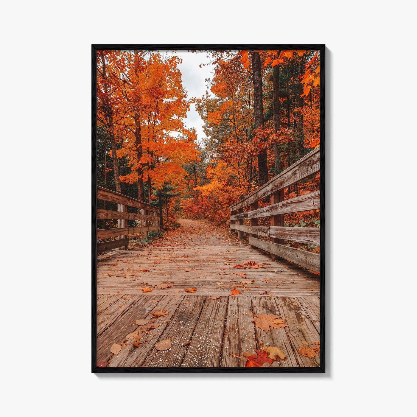 Traverse City Fine Art Photo Print, Logan's Landing, Michigan USA Wall Decor Poster