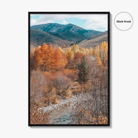 Sun Valley Fall Colors Fine Art Photo Print, Idaho Wall Poster, Ketchum USA