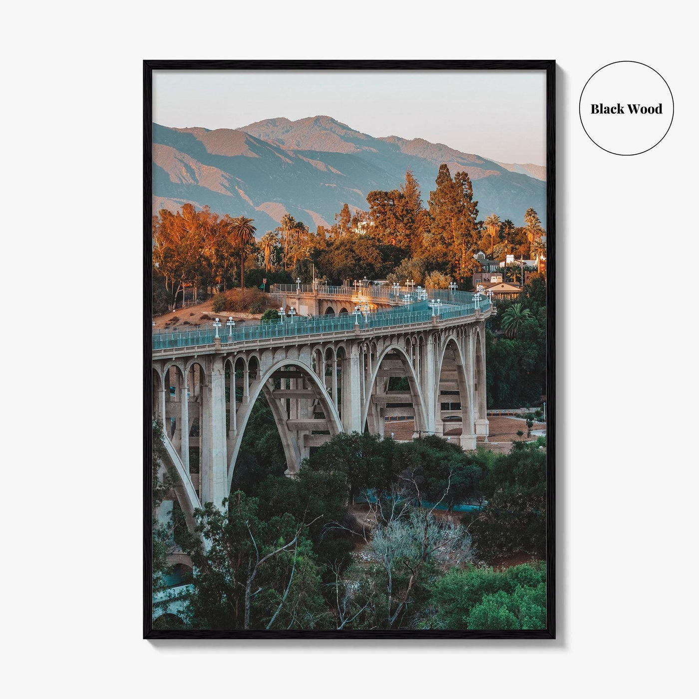 Pasadena Fine Art Photo Print, Colorado Street Bridge, California Wall Decor Poster, Los Angeles