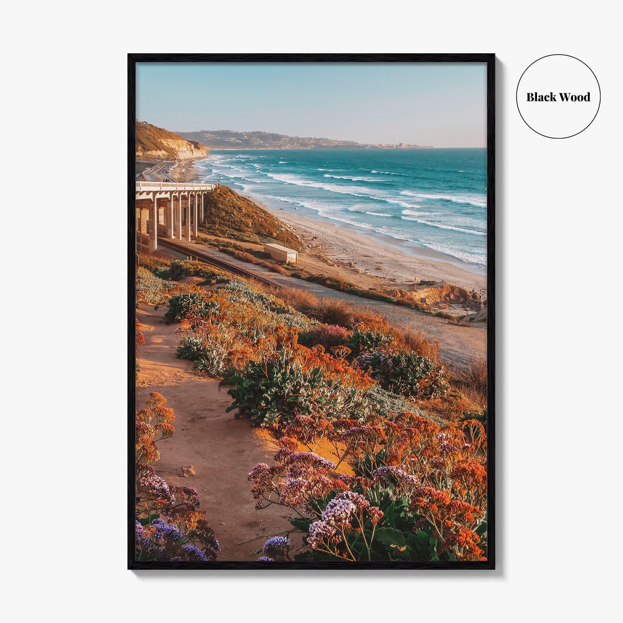 Torrey Pines State Beach Fine Art Photo Print, San Diego California, Wildflowers Wall Poster