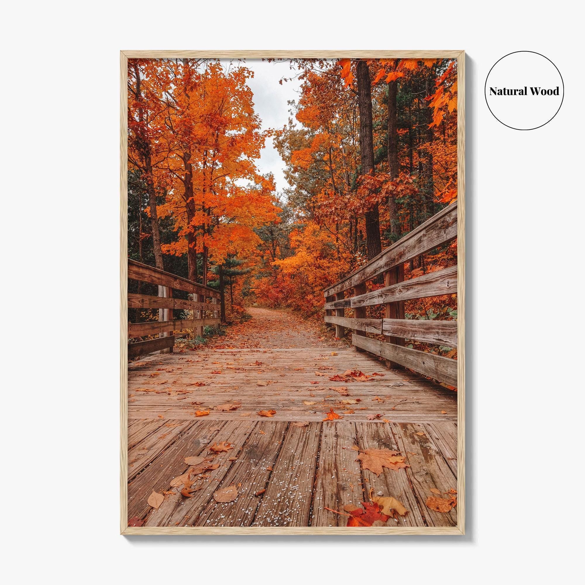 Traverse City Fine Art Photo Print, Logan's Landing, Michigan USA Wall Decor Poster