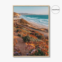 Torrey Pines State Beach Fine Art Photo Print, San Diego California, Wildflowers Wall Poster