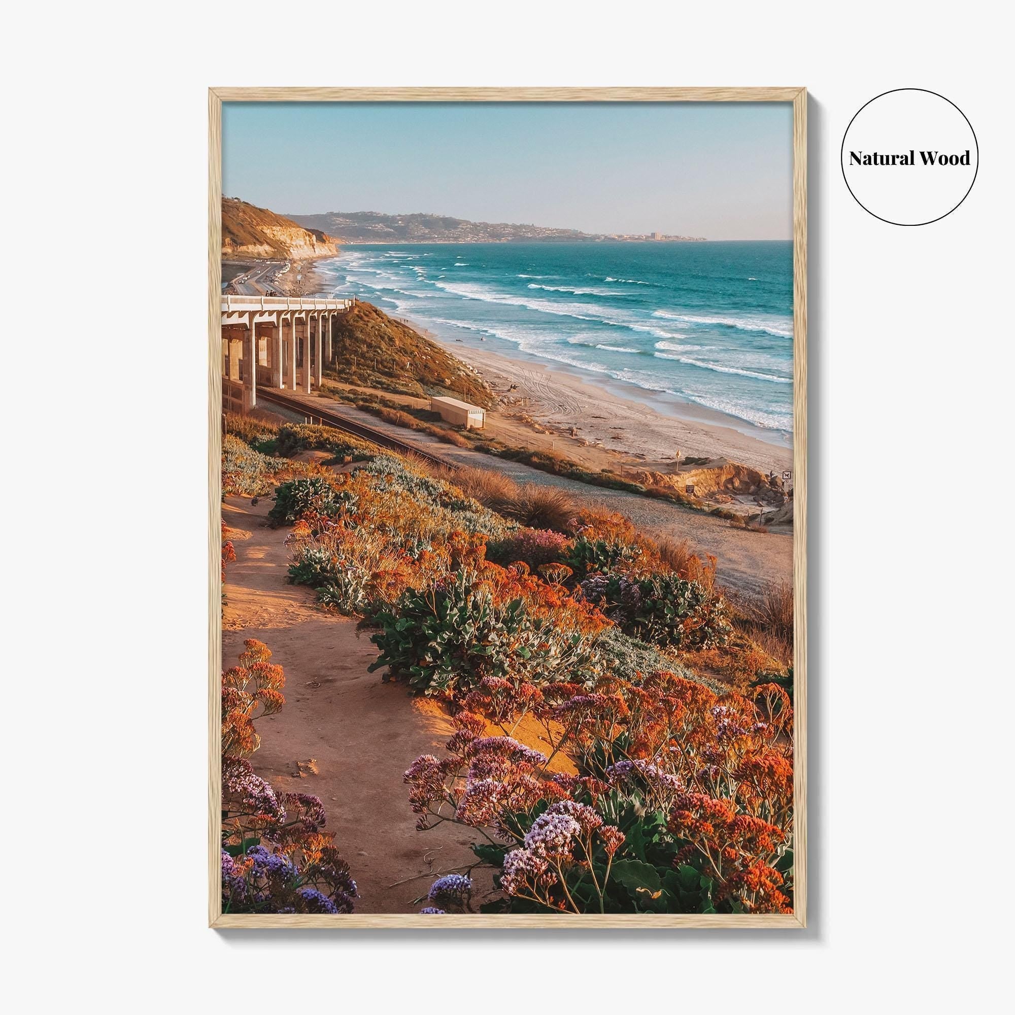 Torrey Pines State Beach Fine Art Photo Print, San Diego California, Wildflowers Wall Poster