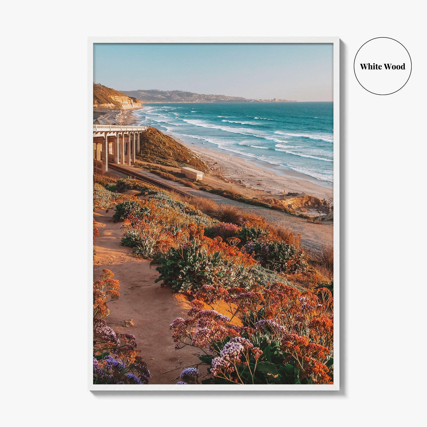 Torrey Pines State Beach Fine Art Photo Print, San Diego California, Wildflowers Wall Poster