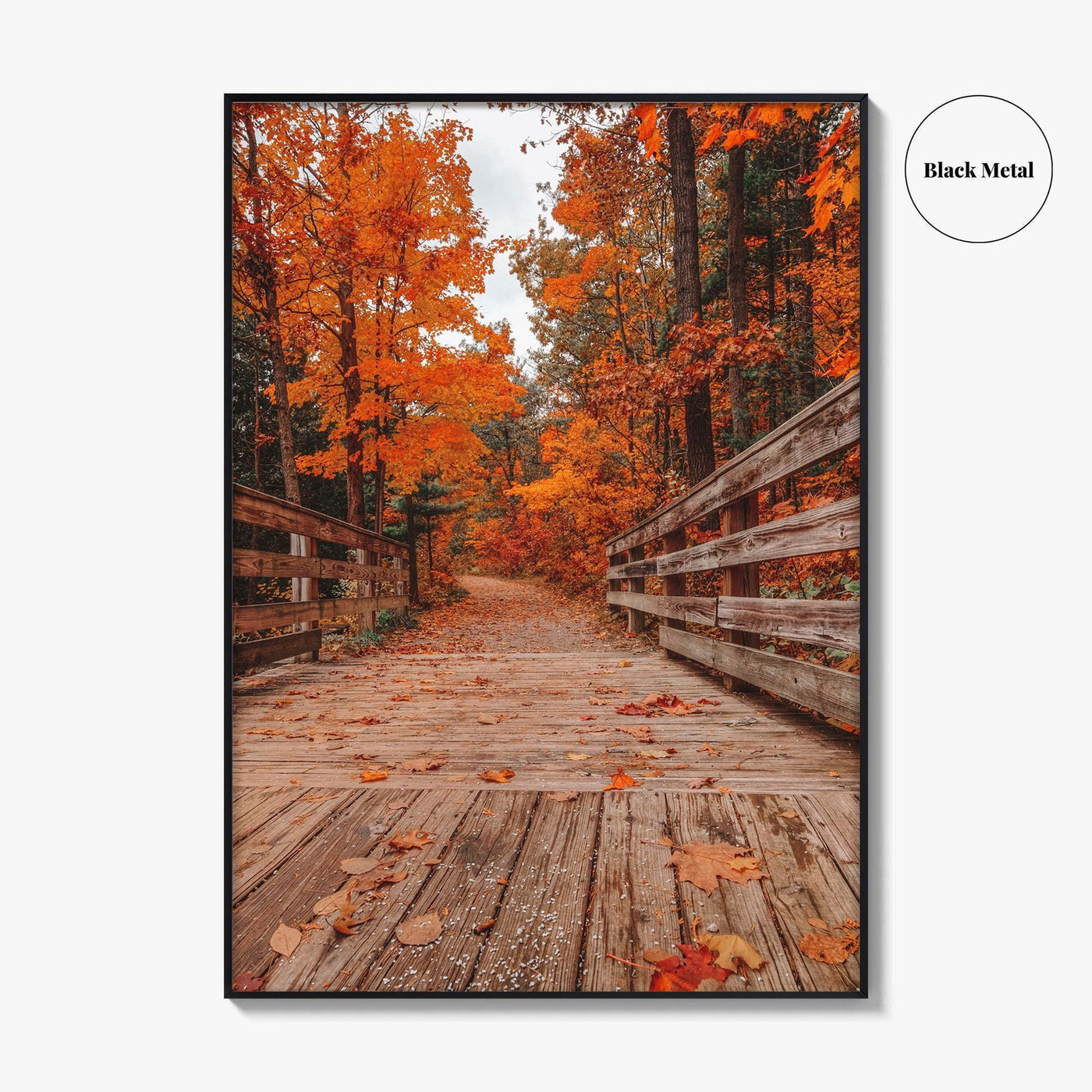 Traverse City Fine Art Photo Print, Logan's Landing, Michigan USA Wall Decor Poster