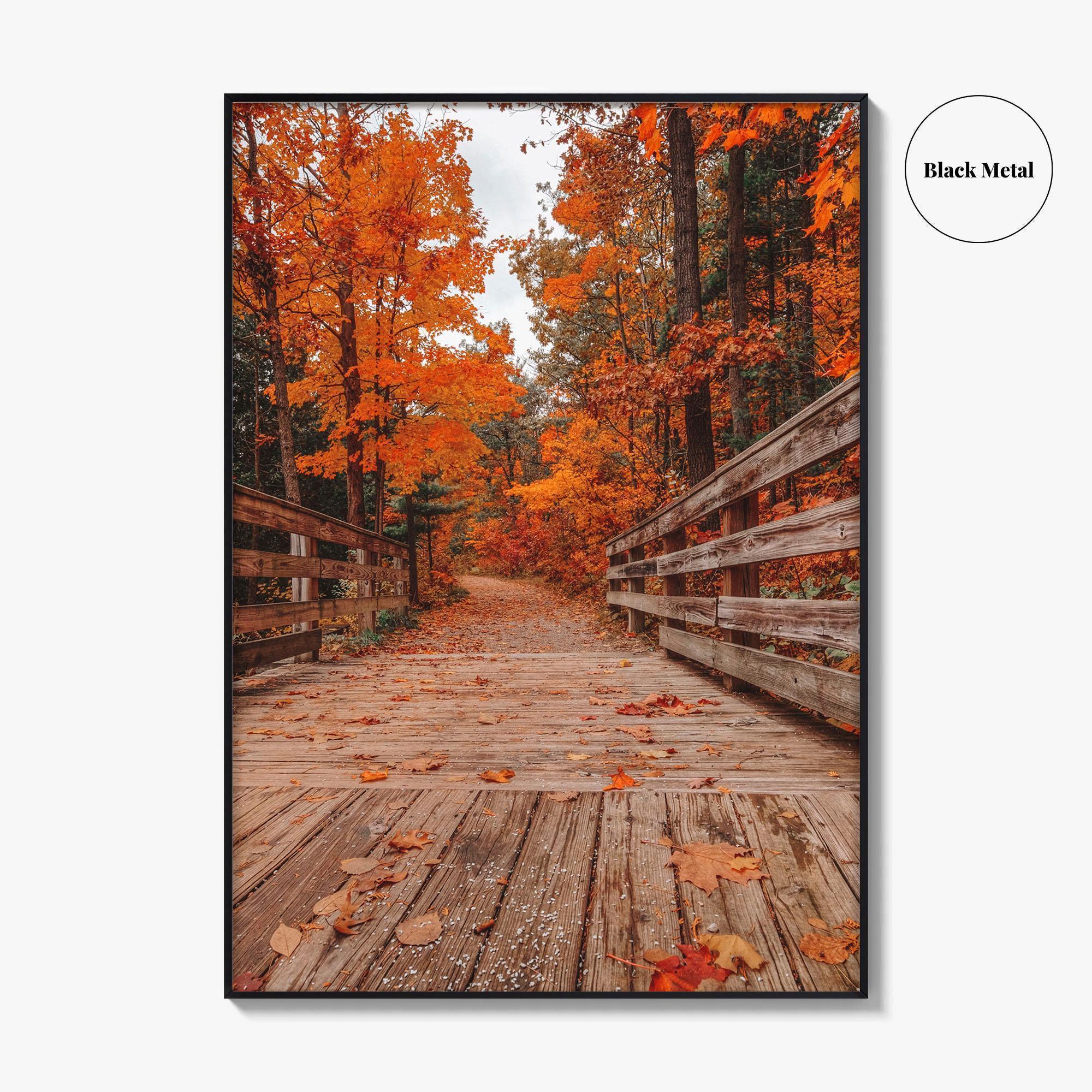Traverse City Fine Art Photo Print, Logan's Landing, Michigan USA Wall Decor Poster