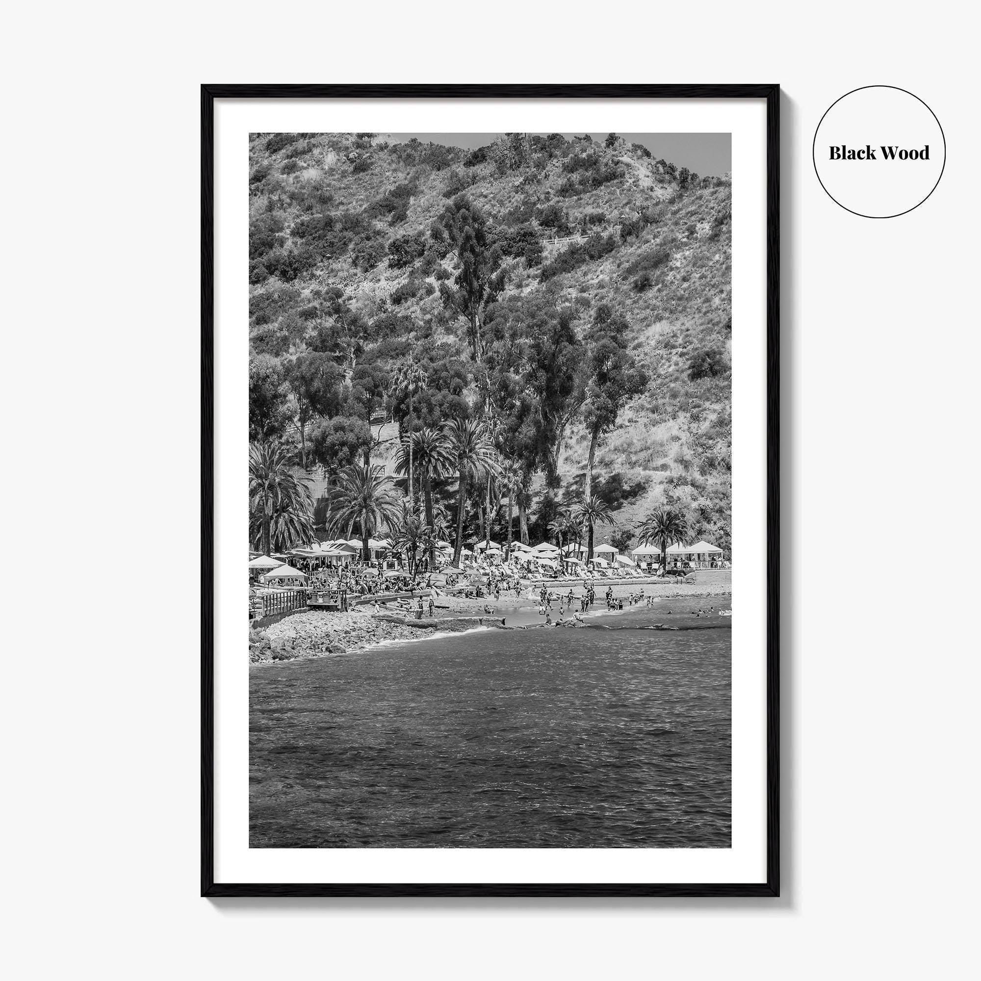 Santa Catalina Island Black and White Fine Art Photo Print, Avalon Bay California Poster