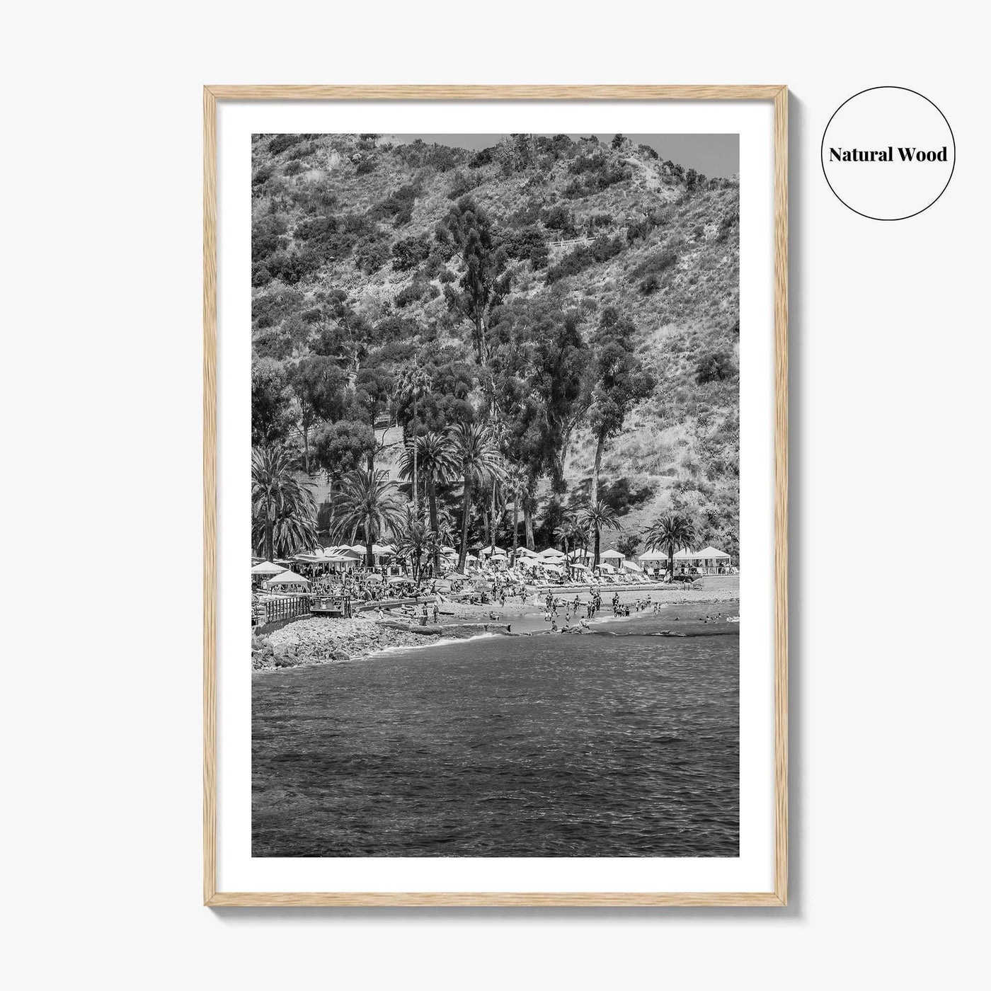 Santa Catalina Island Black and White Fine Art Photo Print, Avalon Bay California Poster