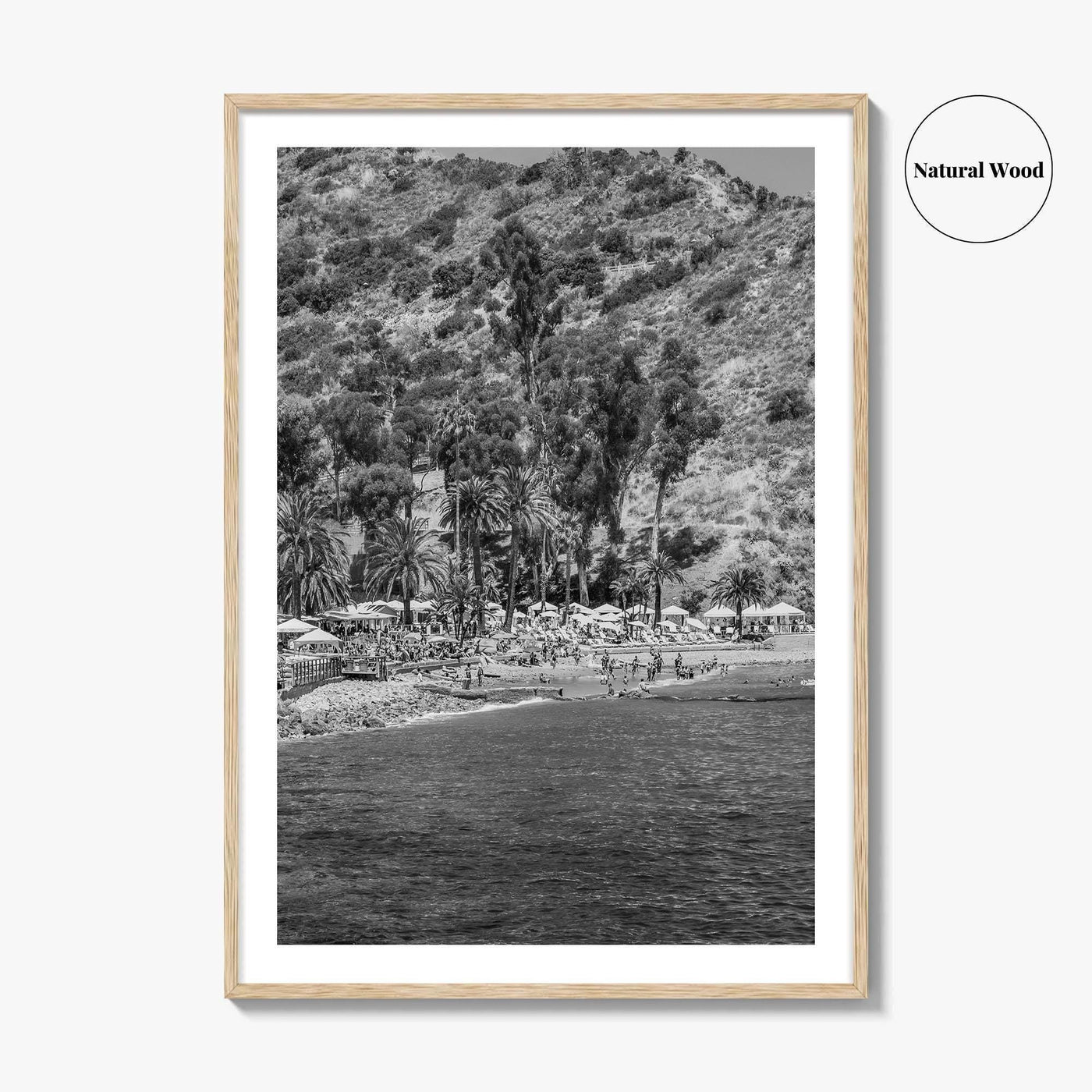 Santa Catalina Island Black and White Fine Art Photo Print, Avalon Bay California Poster