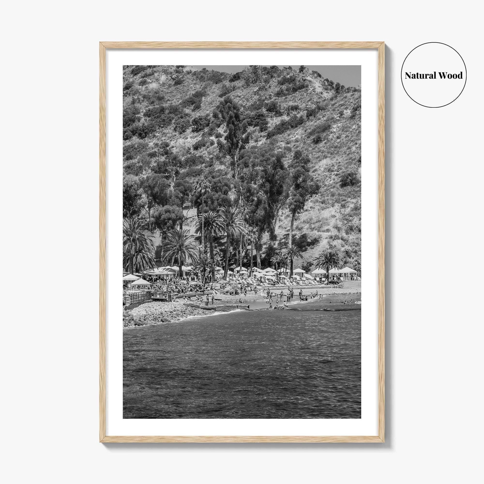 Santa Catalina Island Black and White Fine Art Photo Print, Avalon Bay California Poster