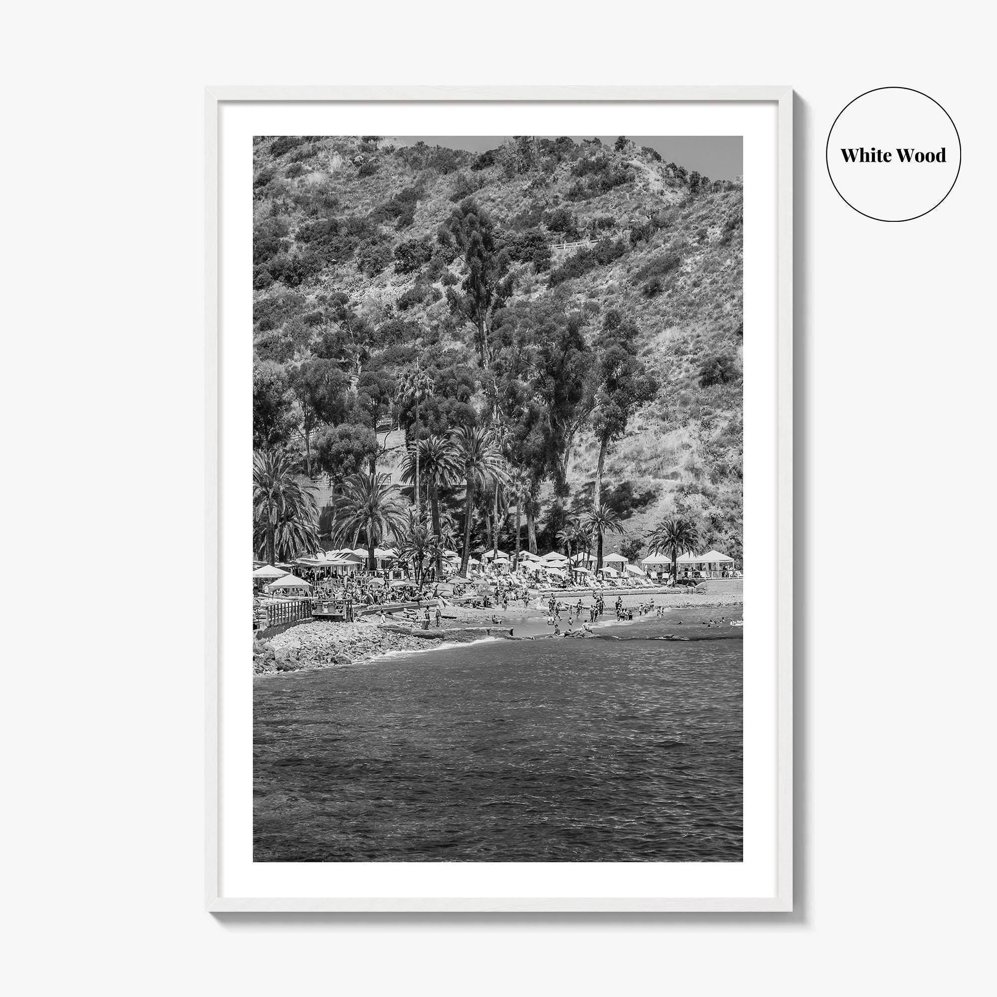 Santa Catalina Island Black and White Fine Art Photo Print, Avalon Bay California Poster