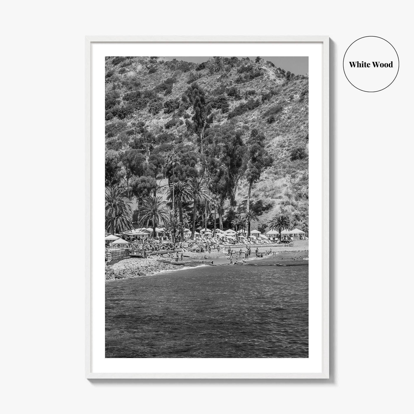 Santa Catalina Island Black and White Fine Art Photo Print, Avalon Bay California Poster