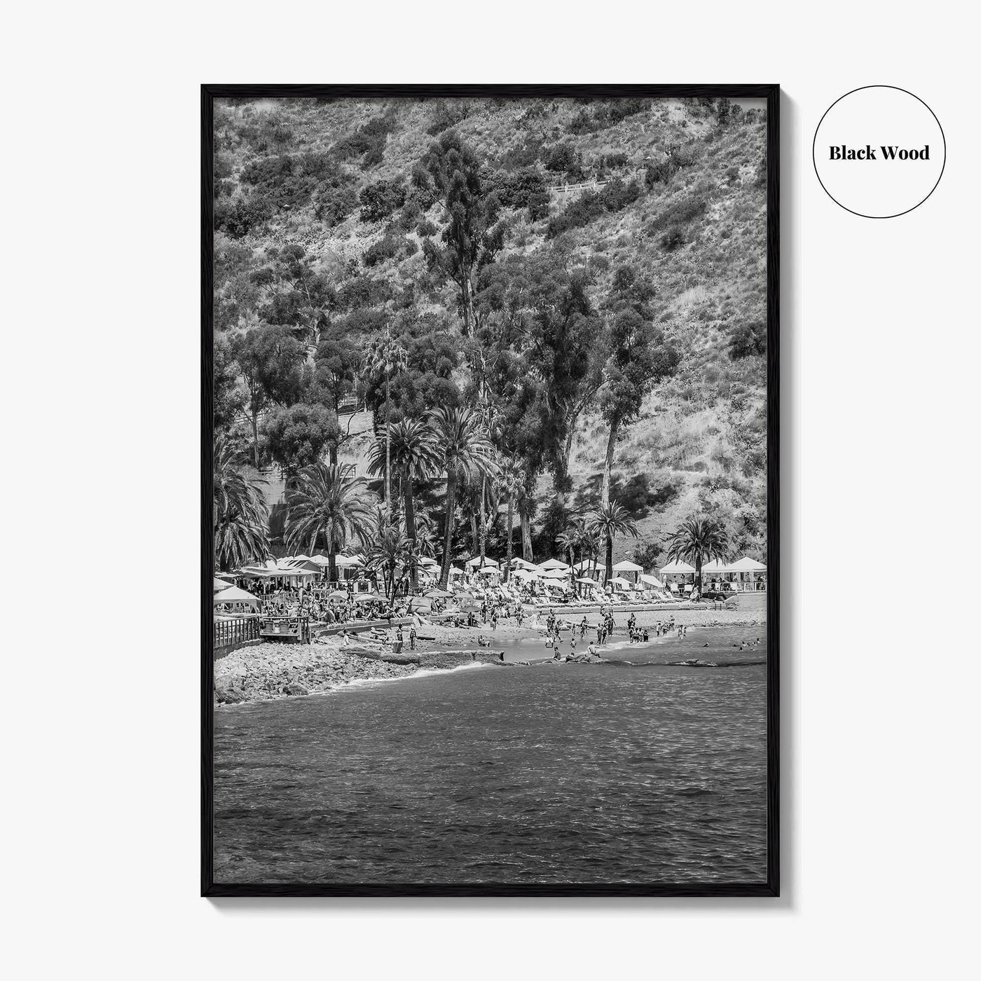 Santa Catalina Island Black and White Fine Art Photo Print, Avalon Bay California Poster