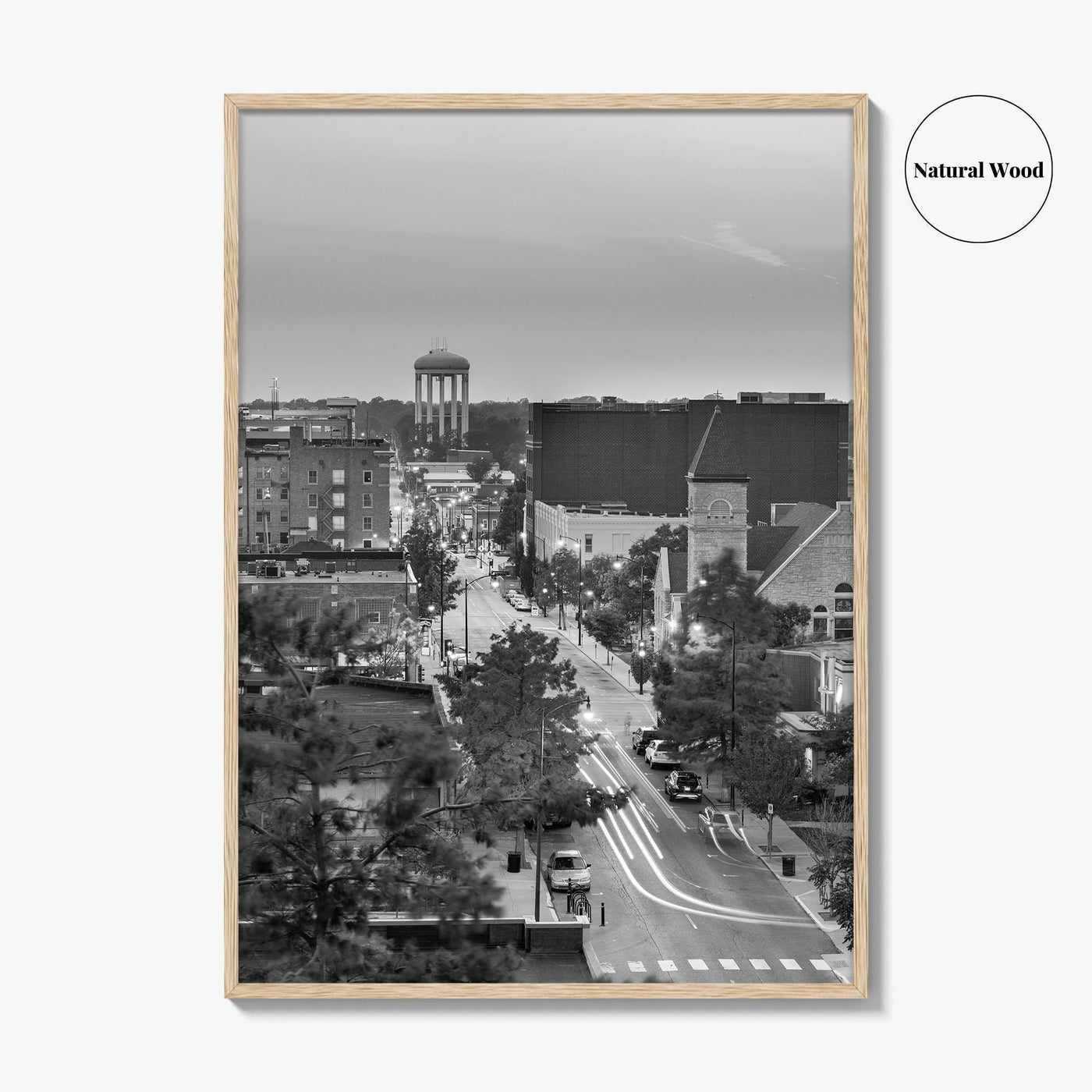 Columbia Missouri Skyline Black and White Fine Art Photo Print, Downtown, USA Poster
