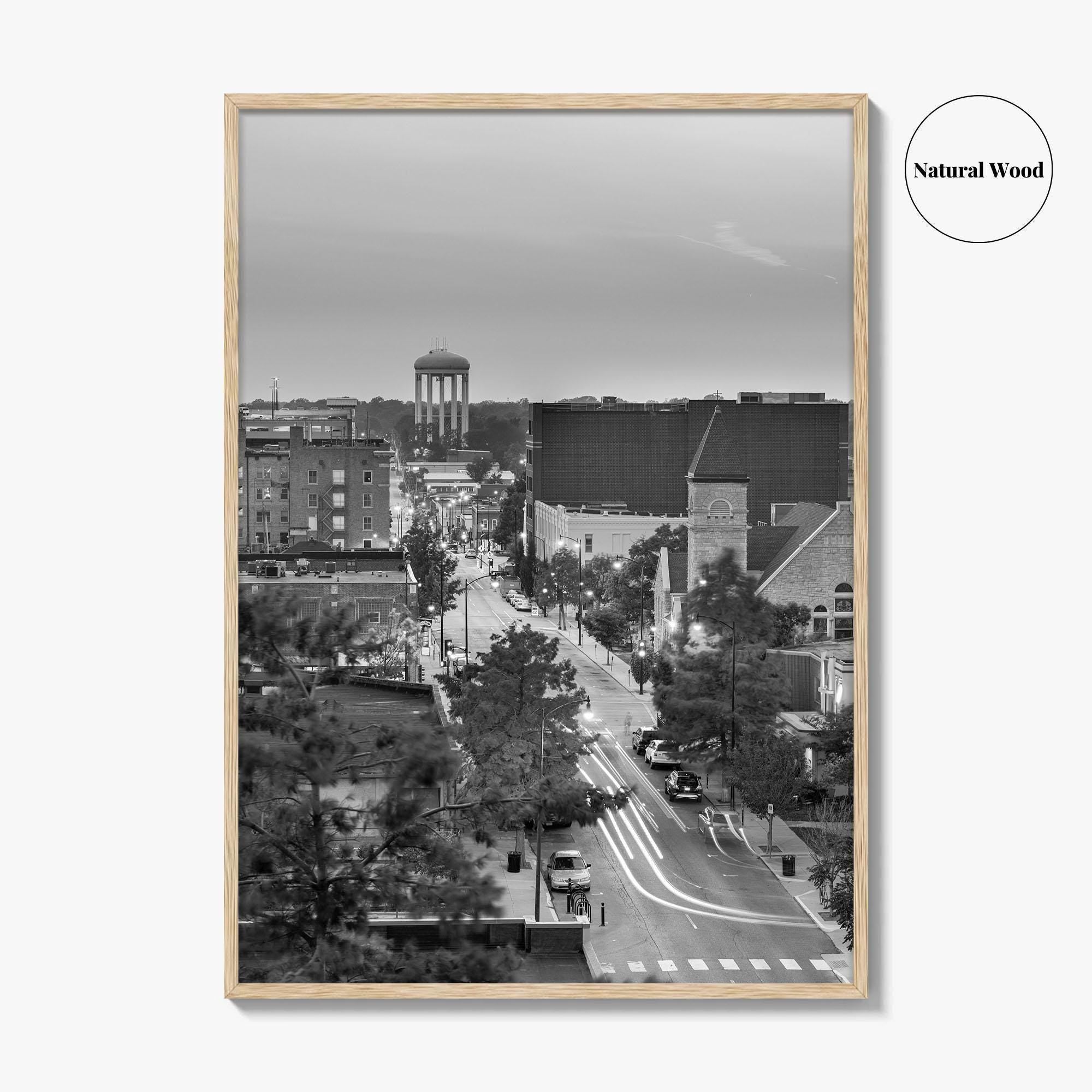 Columbia Missouri Skyline Black and White Fine Art Photo Print, Downtown, USA Poster