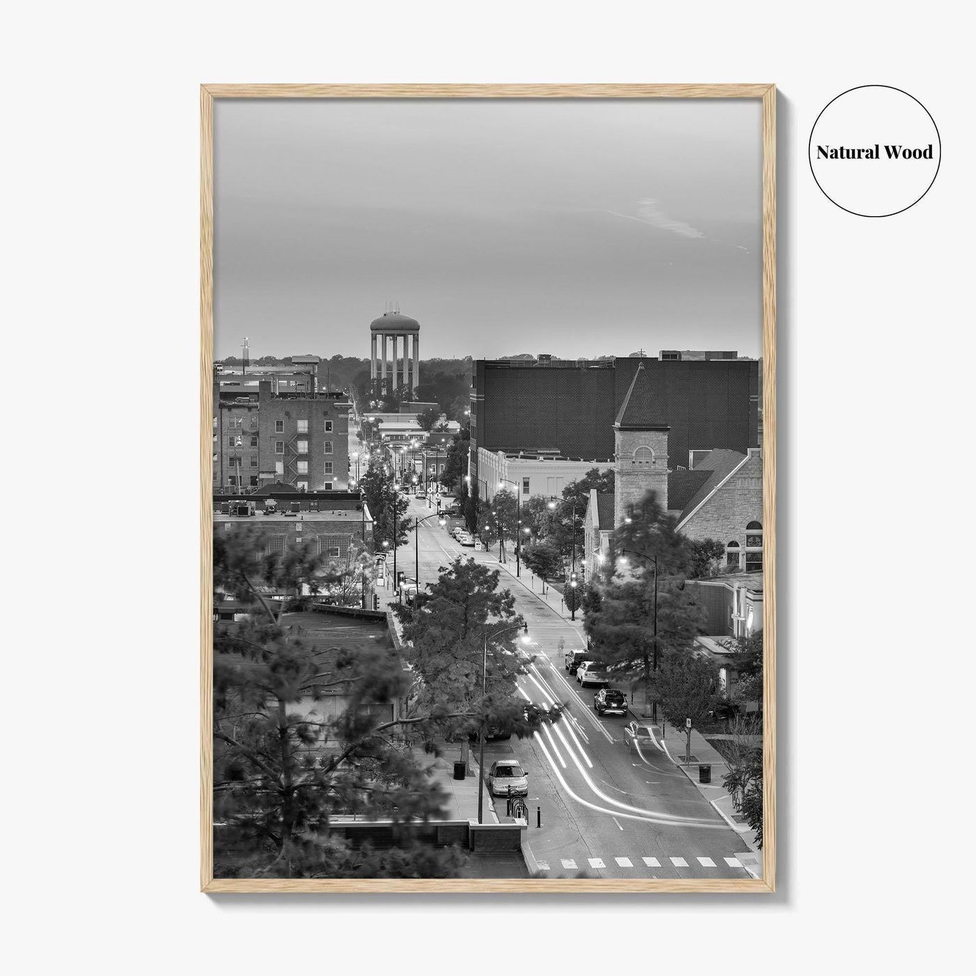 Columbia Missouri Skyline Black and White Fine Art Photo Print, Downtown, USA Poster