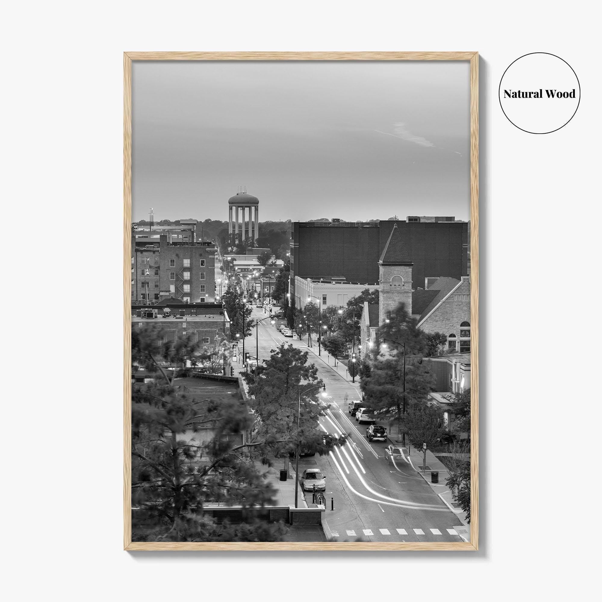Columbia Missouri Skyline Black and White Fine Art Photo Print, Downtown, USA Poster