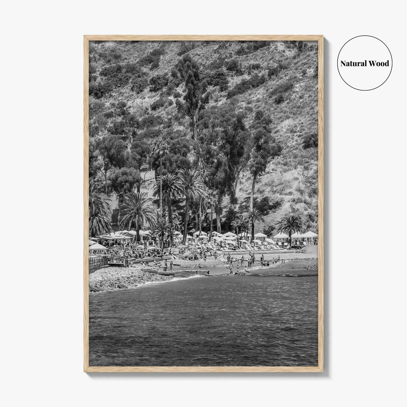 Santa Catalina Island Black and White Fine Art Photo Print, Avalon Bay California Poster