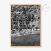 Santa Catalina Island Black and White Fine Art Photo Print, Avalon Bay California Poster