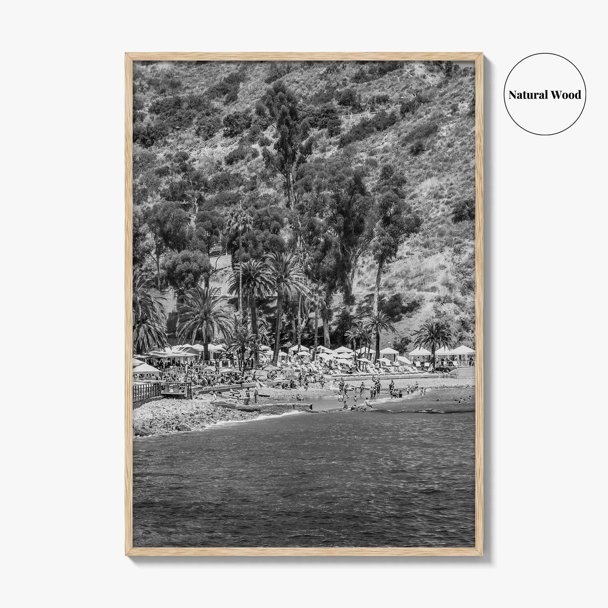 Santa Catalina Island Black and White Fine Art Photo Print, Avalon Bay California Poster