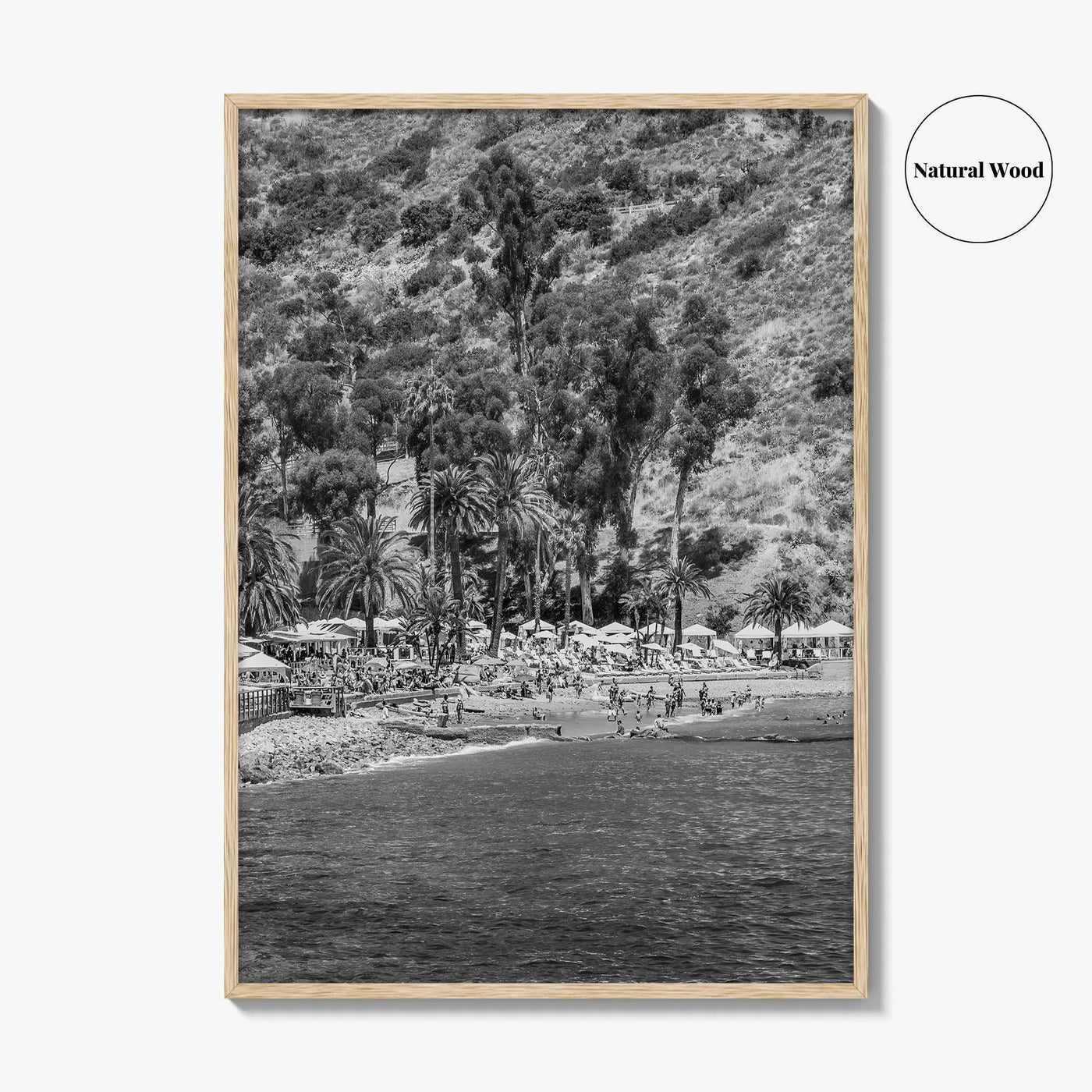 Santa Catalina Island Black and White Fine Art Photo Print, Avalon Bay California Poster