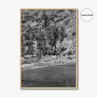 Santa Catalina Island Black and White Fine Art Photo Print, Avalon Bay California Poster