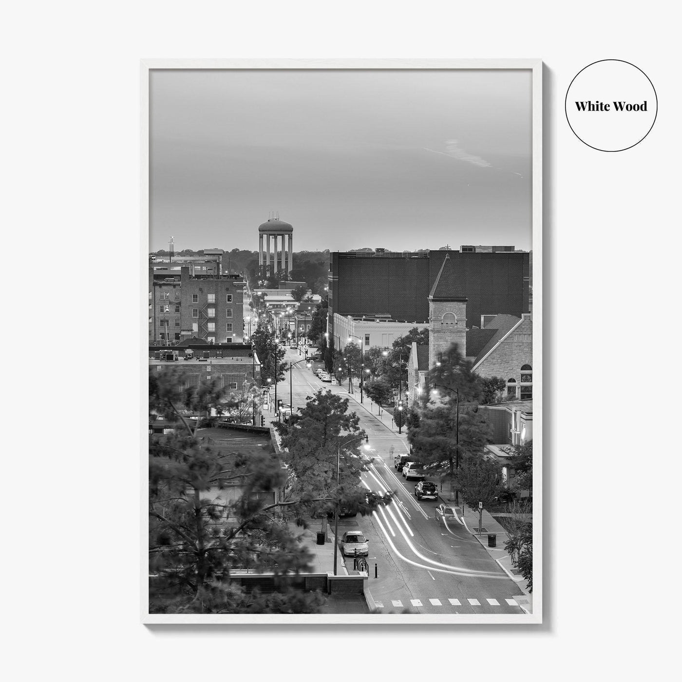 Columbia Missouri Skyline Black and White Fine Art Photo Print, Downtown, USA Poster