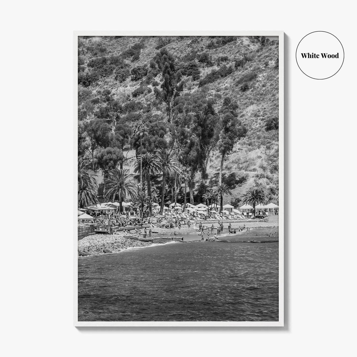 Santa Catalina Island Black and White Fine Art Photo Print, Avalon Bay California Poster