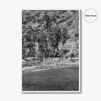 Santa Catalina Island Black and White Fine Art Photo Print, Avalon Bay California Poster