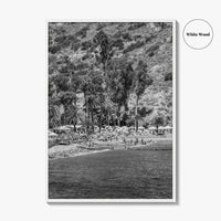 Santa Catalina Island Black and White Fine Art Photo Print, Avalon Bay California Poster