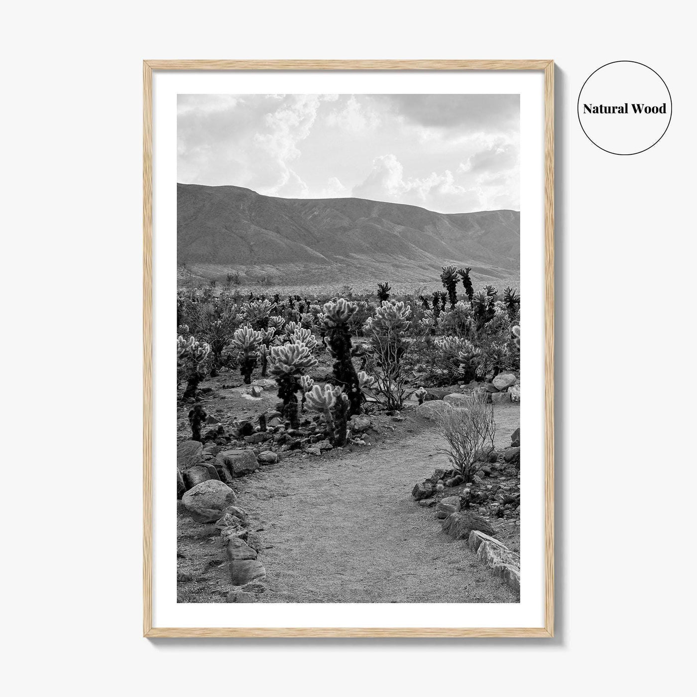 Joshua Tree Black and White Fine Art Photo Print, Cholla Cactus Garden California Poster