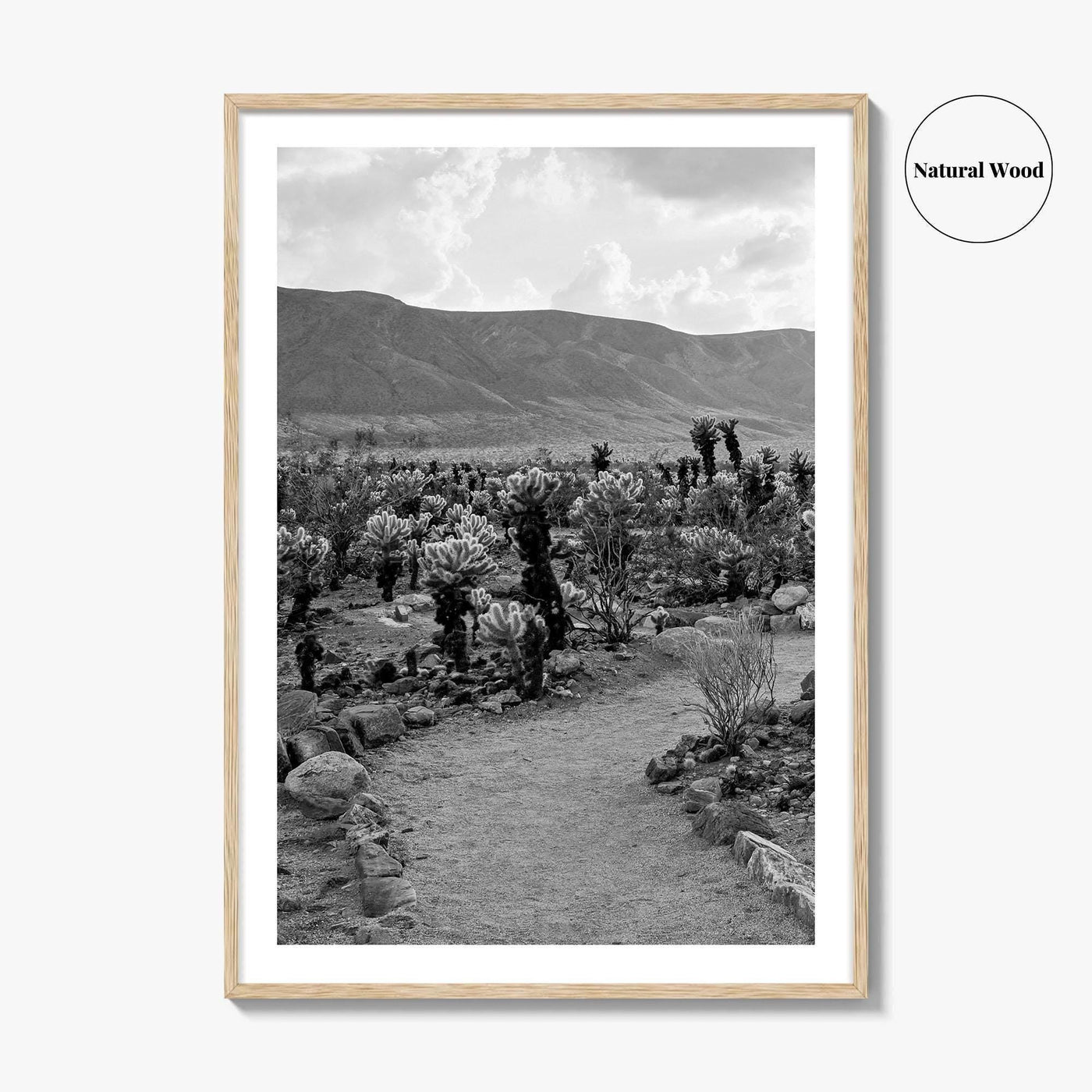 Joshua Tree Black and White Fine Art Photo Print, Cholla Cactus Garden California Poster