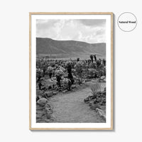 Joshua Tree Black and White Fine Art Photo Print, Cholla Cactus Garden California Poster